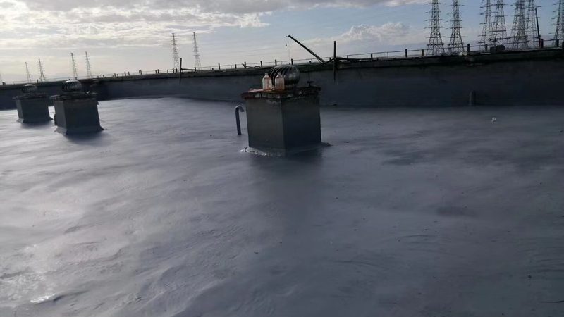 目前市场上常见的旧房翻新防水材料主要有以下几种：